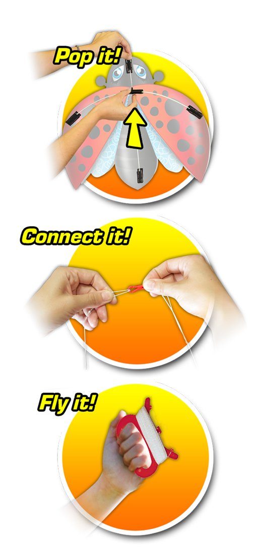 EOLO Pop Up Kite, Mini Ladybug Toys Eolo