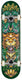 Rocket Skateboards Wild Pile Up Complete Skateboard, 7.5" Complete Skateboards Rocket 