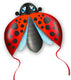 EOLO Pop Up Kite, Mini Ladybug Toys Eolo 